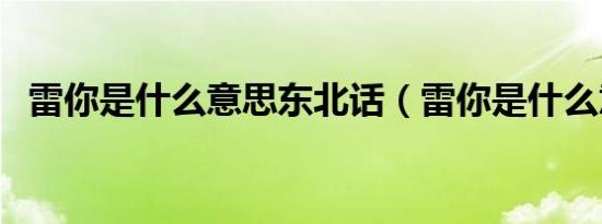 雷你是什么意思东北话（雷你是什么意思）