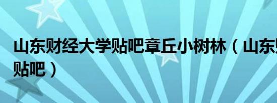 山东财经大学贴吧章丘小树林（山东财经大学贴吧）