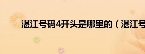 湛江号码4开头是哪里的（湛江号）