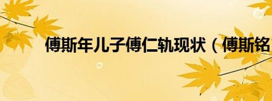 傅斯年儿子傅仁轨现状（傅斯铭）