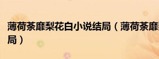 薄荷荼靡梨花白小说结局（薄荷荼靡梨花白结局）