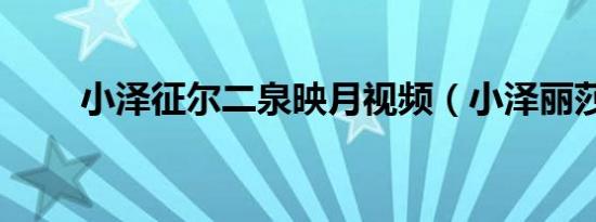 小泽征尔二泉映月视频（小泽丽莎）