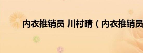 内衣推销员 川村晴（内衣推销员）