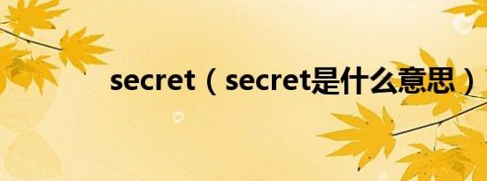 secret（secret是什么意思）
