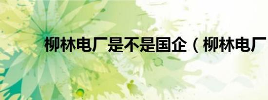 柳林电厂是不是国企（柳林电厂）