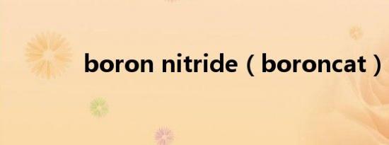 boron nitride（boroncat）