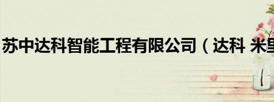 苏中达科智能工程有限公司（达科 米里切奇）