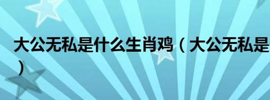大公无私是什么生肖鸡（大公无私是什么生肖）