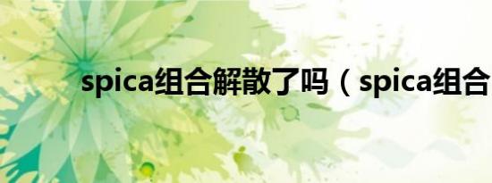 spica组合解散了吗（spica组合）
