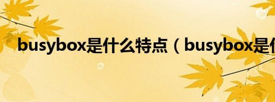 busybox是什么特点（busybox是什么）