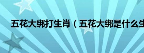 五花大绑打生肖（五花大绑是什么生肖）