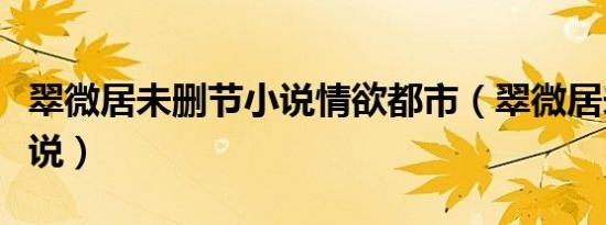 翠微居未删节小说情欲都市（翠微居未删节小说）