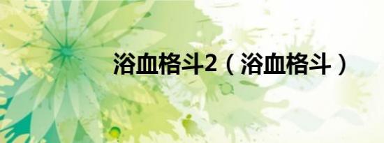 浴血格斗2（浴血格斗）
