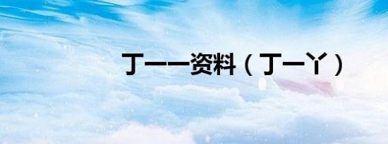 丁一一资料（丁一丫）