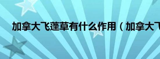 加拿大飞蓬草有什么作用（加拿大飞蓬）