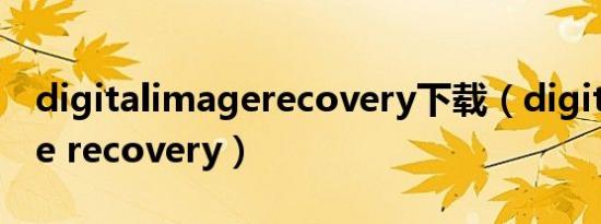 digitalimagerecovery下载（digital image recovery）