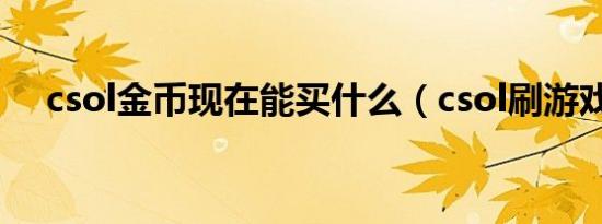 csol金币现在能买什么（csol刷游戏币）