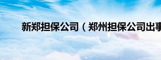 新郑担保公司（郑州担保公司出事）