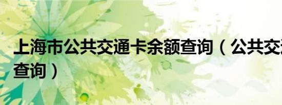 上海市公共交通卡余额查询（公共交通卡余额查询）