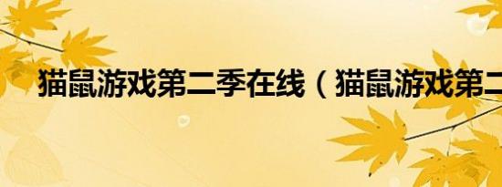 猫鼠游戏第二季在线（猫鼠游戏第二季）