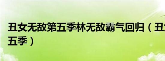 丑女无敌第五季林无敌霸气回归（丑女无敌第五季）
