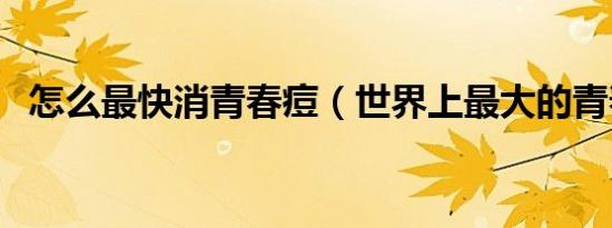 怎么最快消青春痘（世界上最大的青春痘）