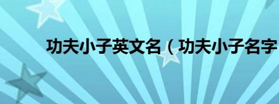 功夫小子英文名（功夫小子名字）