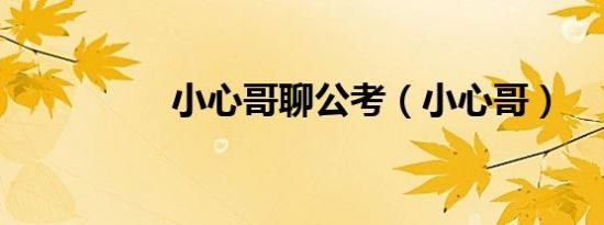 小心哥聊公考（小心哥）