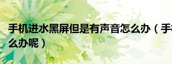 手机进水黑屏但是有声音怎么办（手机进水怎么办呢）