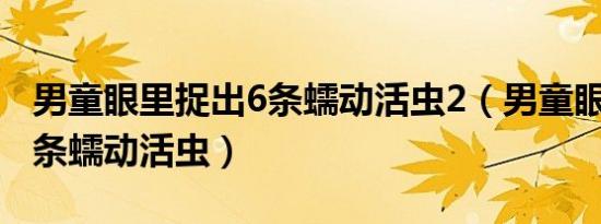 男童眼里捉出6条蠕动活虫2（男童眼里捉出6条蠕动活虫）
