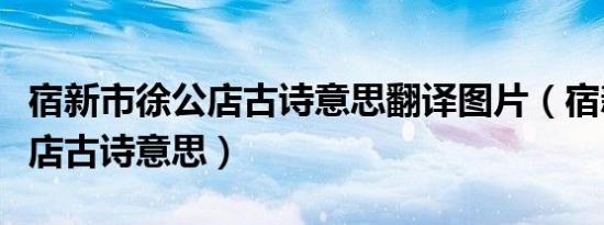 宿新市徐公店古诗意思翻译图片（宿新市徐公店古诗意思）