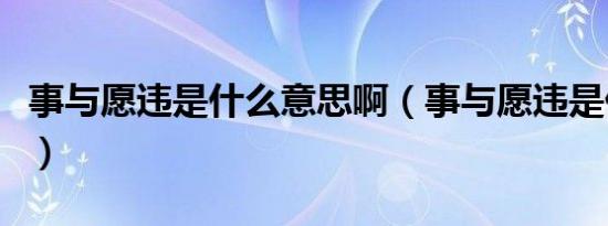 事与愿违是什么意思啊（事与愿违是什么意思）