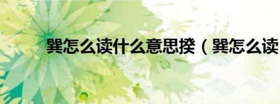 巽怎么读什么意思揆（巽怎么读）