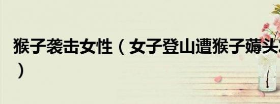 猴子袭击女性（女子登山遭猴子薅头发扒衣服）