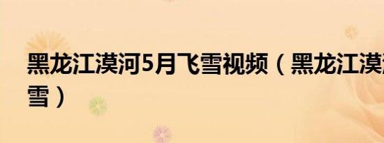 黑龙江漠河5月飞雪视频（黑龙江漠河5月飞雪）