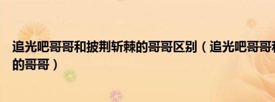 追光吧哥哥和披荆斩棘的哥哥区别（追光吧哥哥和披荆斩棘的哥哥）