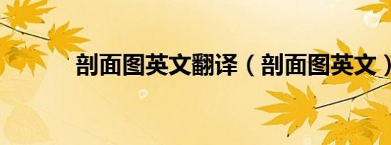 剖面图英文翻译（剖面图英文）