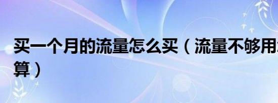 买一个月的流量怎么买（流量不够用怎么买划算）