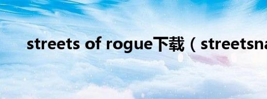 streets of rogue下载（streetsnap）