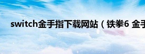 switch金手指下载网站（铁拳6 金手指）