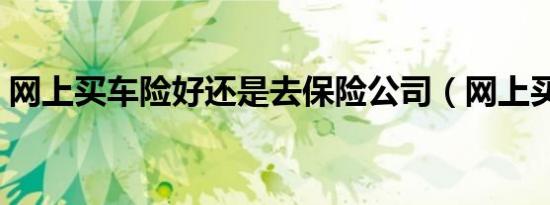 网上买车险好还是去保险公司（网上买车险）