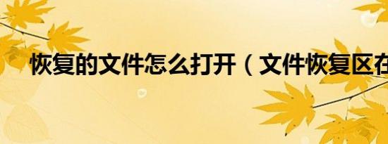 恢复的文件怎么打开（文件恢复区在哪）