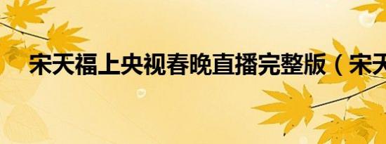 宋天福上央视春晚直播完整版（宋天福）