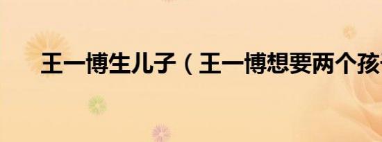 王一博生儿子（王一博想要两个孩子）