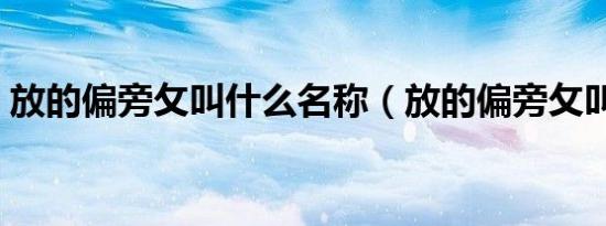放的偏旁攵叫什么名称（放的偏旁攵叫什么）