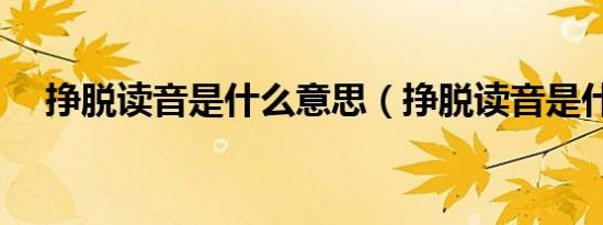 挣脱读音是什么意思（挣脱读音是什么）