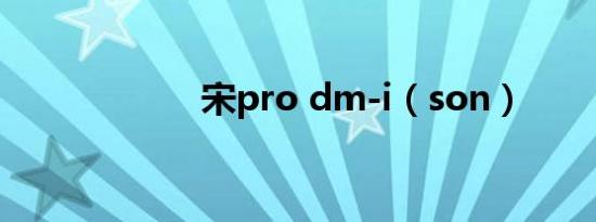 宋pro dm-i（son）