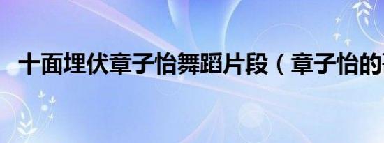 十面埋伏章子怡舞蹈片段（章子怡的哥哥）