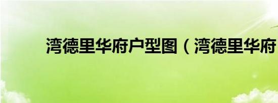 湾德里华府户型图（湾德里华府）