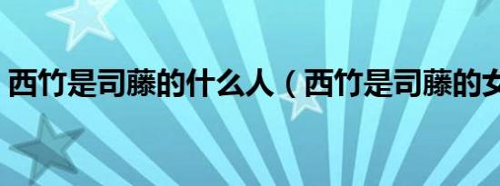 西竹是司藤的什么人（西竹是司藤的女儿吗）